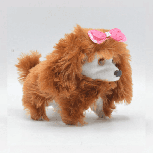 Online kids toys in Pakistan 21021